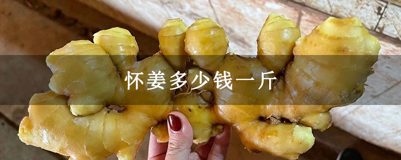 怀姜多少钱一斤