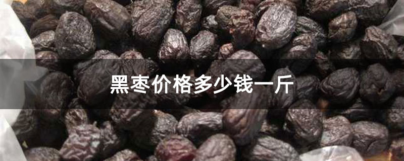 黑枣价格多少钱一斤