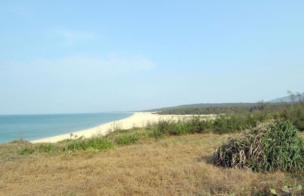 海防林2.jpg