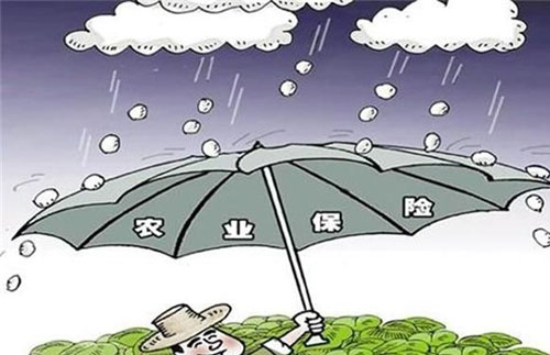 未来几年，农民将享受到哪些农业补贴？