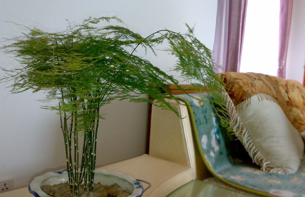 20100212_7aa2ab318446fb79a273373UD33m3Yq9.jpg
