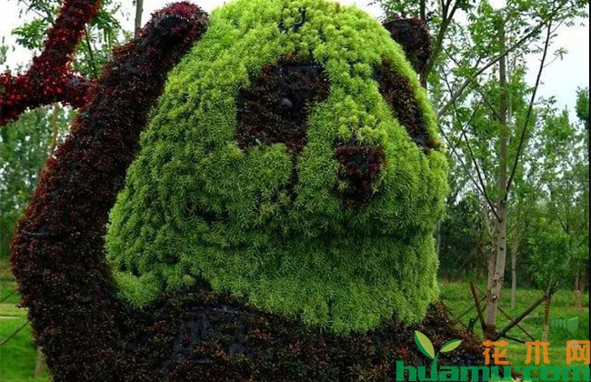 土豪国公园的草坪这么豪气! 土豪国公园的草坪这么豪气!