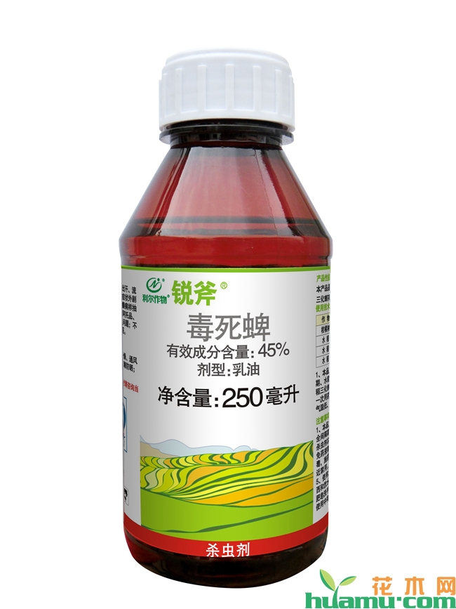 毒死蜱主要杀什么虫？