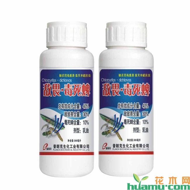 毒死蜱主要杀什么虫？
