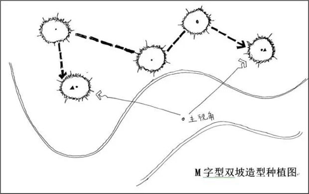 M字型双坡造型种植图.jpg