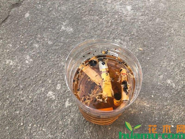 烟头水
