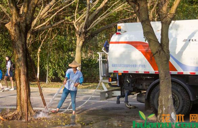 每次打药都加叶面肥?叶肥不能滥用! 每次打药都加叶面肥?叶肥不能滥用!