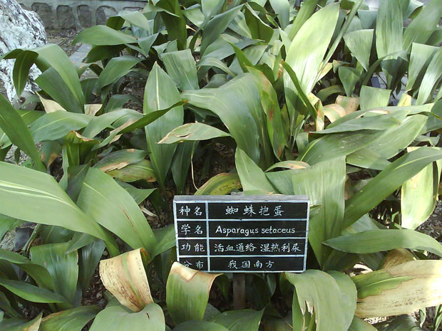 bd315c6034a85edf84ca59bf4b540923dc5475e3.jpg