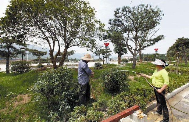 栽植树木2.jpg