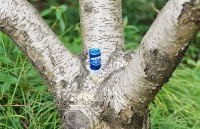 假活苗