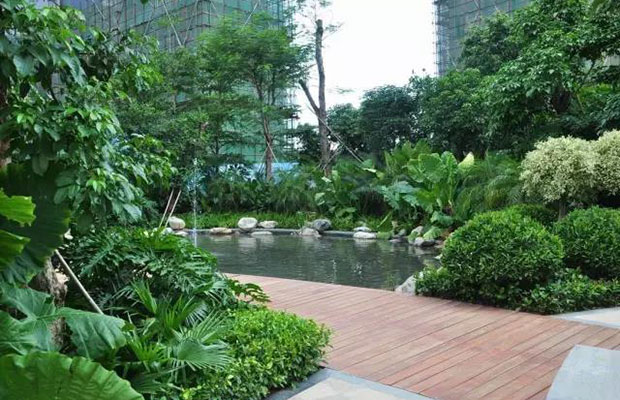 园林绿化种植中要注意什么？
