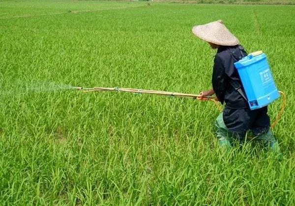 农药使用禁忌