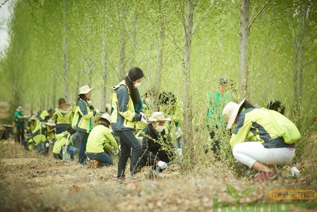提高春季植树成活率