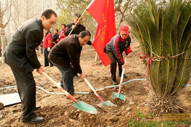 春季植树图片