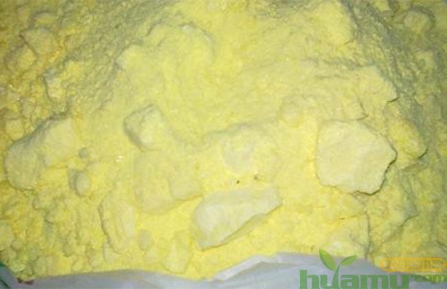 苗木种植为什么离不开石硫合剂? 苗木种植为什么离不开石硫合剂?