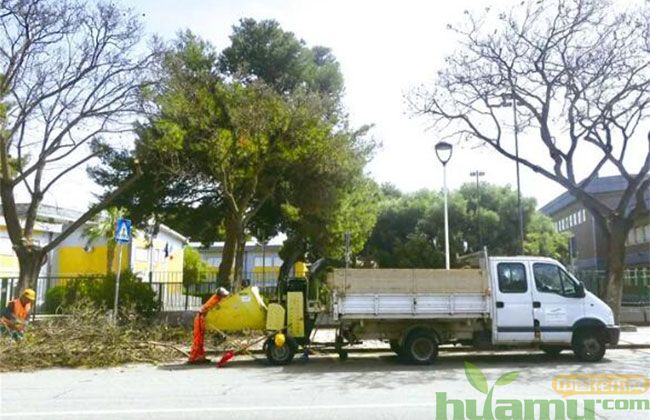 我国园林行业苗木修剪标准 我国园林行业苗木修剪标准