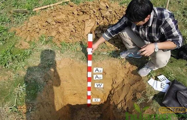 怎么判断土壤好不好 怎么判断土壤好不好