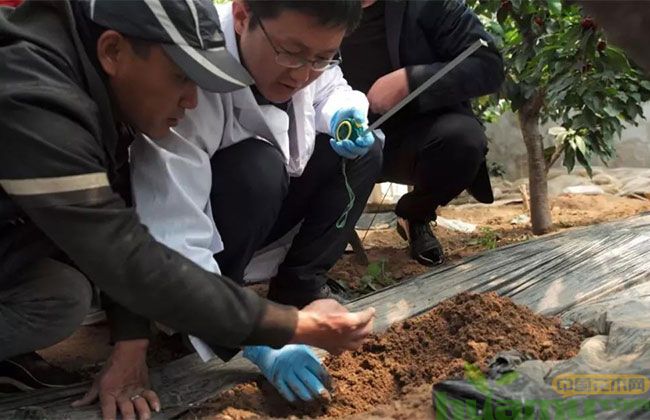 怎么判断土壤好不好 怎么判断土壤好不好