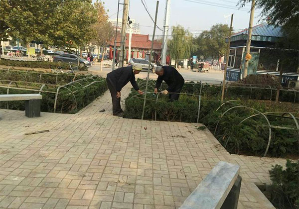 苗木防寒2.jpg