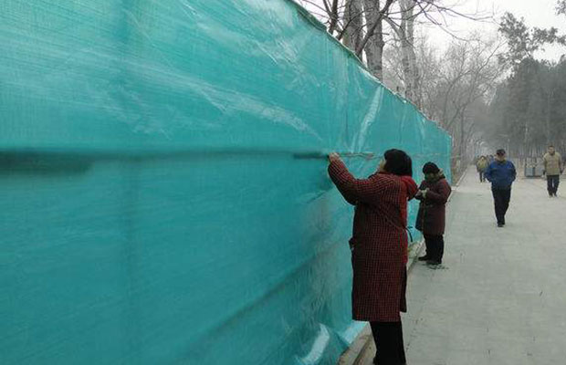 雪松冬季防寒保暖很有必要