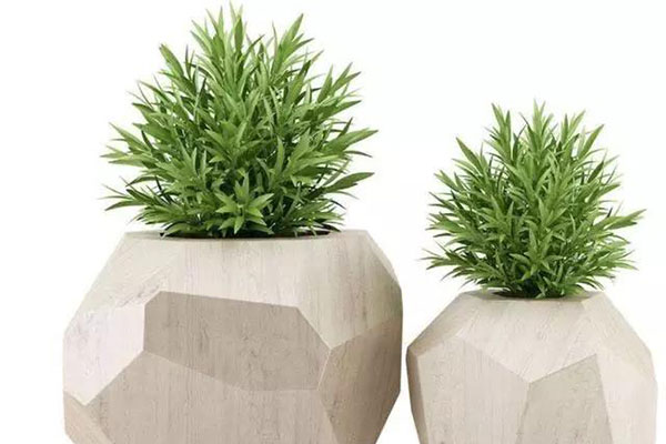 想要植物安稳过冬3.jpg