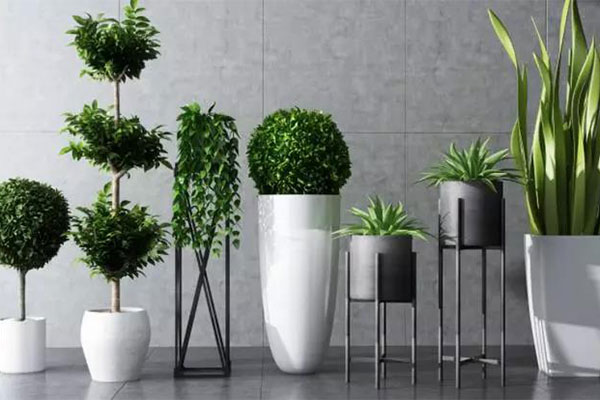 想要植物安稳过冬5.jpg