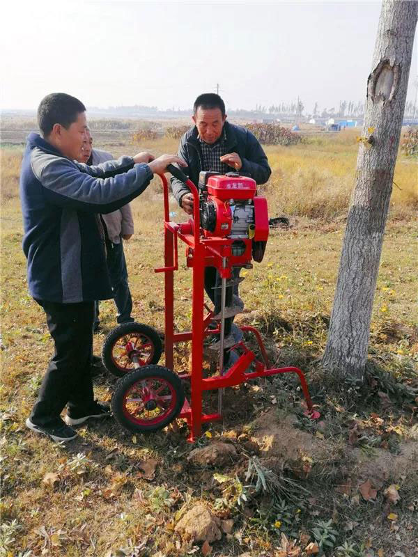 营养储存设施让园林植物“壮”起来