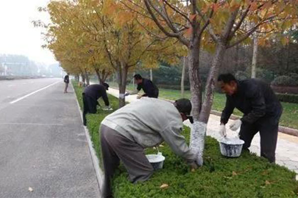 园林植物冬防2.jpg