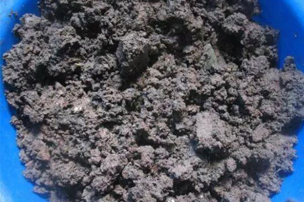 想用园土直接种植花卉？按照这几步做就可以实现！