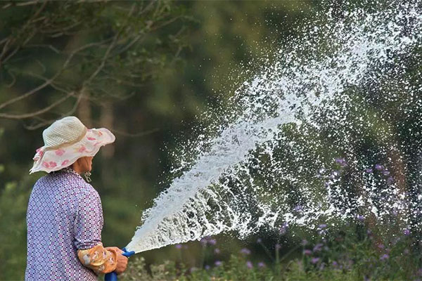 教你几招，确保夏季移栽百分百成活4.jpg