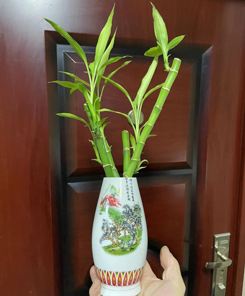 微信图片_20220127130009_副本.jpg