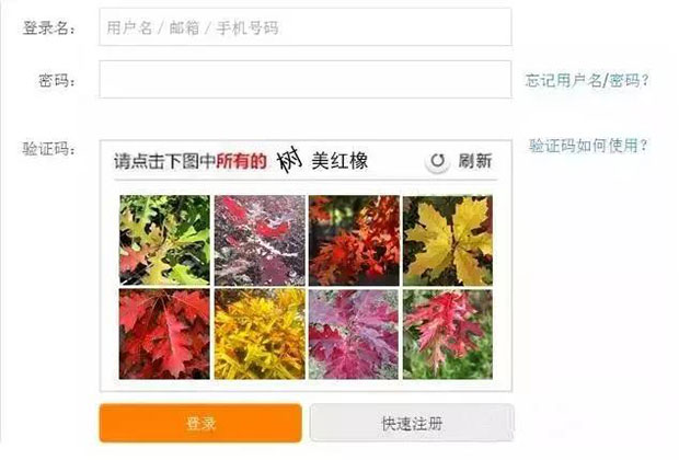 不认识几种苗木，今年火车票都买不上！