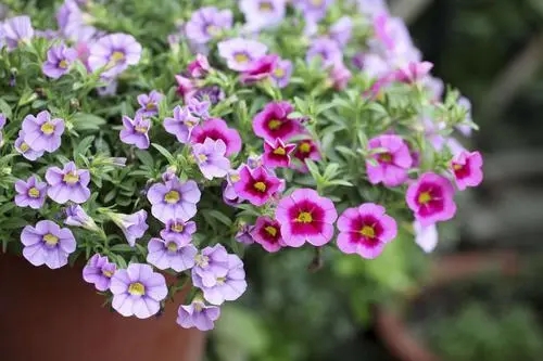 u=357232417,1144691864&fm=253&fmt=auto&app=138&f=JPEG.webp.jpg