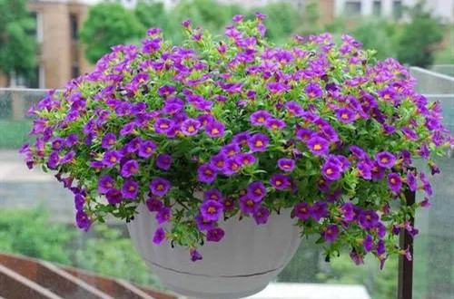 u=1759147252,2589367747&fm=253&fmt=auto&app=138&f=JPEG.webp_副本.jpg