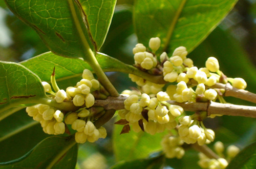 src=http___b-ssl.duitang.com_uploads_item_201203_01_20120301164835_BKBL5.jpg&refer=http___b-ssl.duitang_副本.jpg