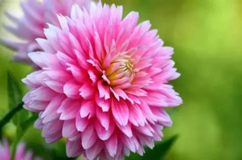 u=3821321470,1670067684&fm=253&fmt=auto&app=138&f=JPEG.webp_副本.jpg