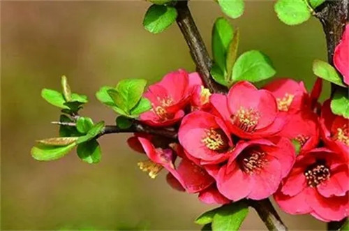 src=http___i.zw3e.com_uploads_allimg_181215_4-1Q2151303152a.jpg&refer=http___i.zw3e.webp_副本.jpg
