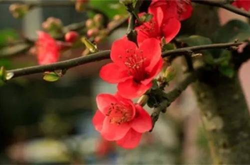 u=527391018,1215053434&fm=253&fmt=auto&app=138&f=JPEG.webp_副本.jpg