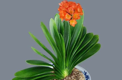 u=1346087825,956152682&fm=253&fmt=auto&app=138&f=JPEG.webp_副本.jpg