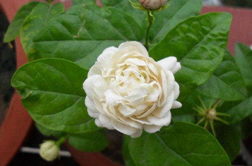 u=2995055479,471732744&fm=173&app=49&f=JPG_副本.jpg