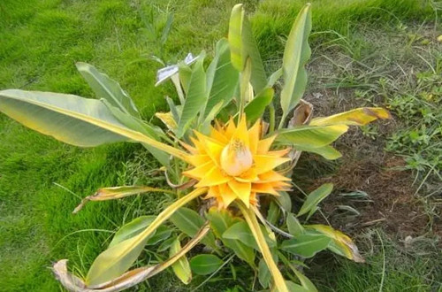 u=2066307763,60499283&fm=253&fmt=auto&app=138&f=JPEG.webp_副本.jpg