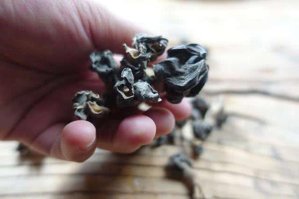 巴楚蘑菇干货