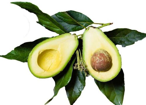 牛油果保存方法 保鲜与储藏方法