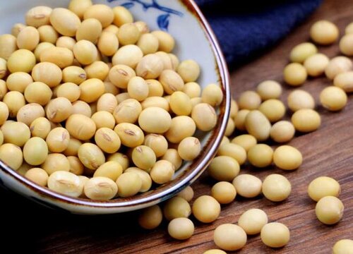 用大豆怎么养绿萝大豆氮肥的制作方法