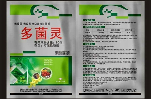 timg_副本.jpg
