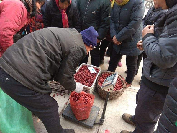 卖大枣