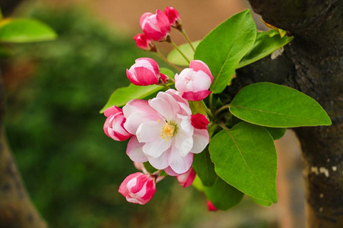 src=http___www.chuzhan.org_zb_users_upload_2019_07_201907181563459037212301.jpg&refer=http___www.chuzhan_副本.jpg