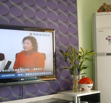 电视机旁该不该摆放花卉