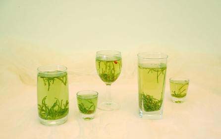 金银花茶(泡水喝)的功效与作用