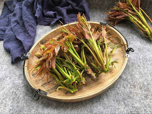 香椿芽